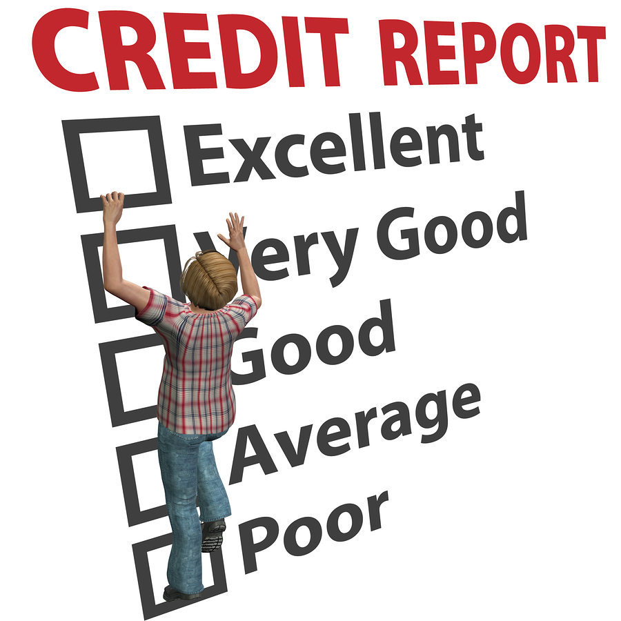 How to, Credit Report