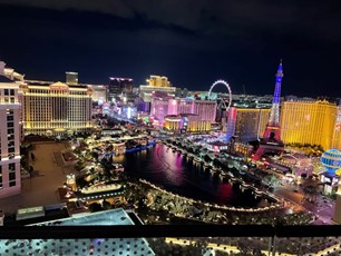 Vegas Trip 